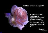 Születésnapi képeslap