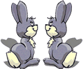 Képeslap