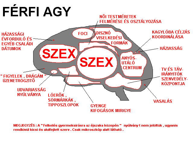 Vicces képeslap