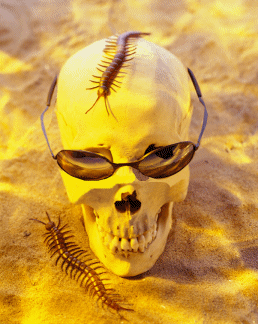 Halloweenes képeslap