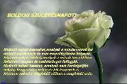 Születésnapi képeslap