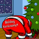 Karácsonyi és újévi képeslap