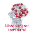 Névnapi képeslap