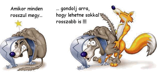 Vicces képeslap