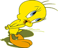 Képeslap