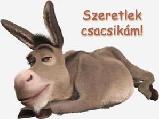 Szerelmes képeslap