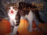 Halloweenes képeslap