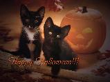 Halloweenes képeslap
