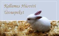 Húsvéti képeslap
