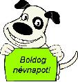 Képeslap