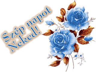 Baráti képeslap