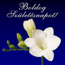Születésnapi képeslap