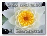 Képeslap