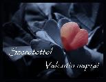 Valentin napi képeslap