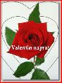 Valentin napi képeslap