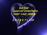 Valentin napi képeslap