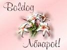 Nőnapi képeslap