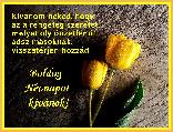 Névnapi képeslap