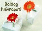Névnapi képeslap