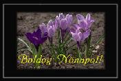 Nőnapi képeslap