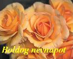 Névnapi képeslap