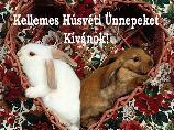 Húsvéti képeslap