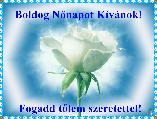 Nőnapi képeslap