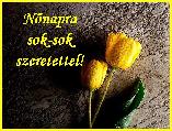 Nőnapi képeslap