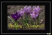 Nőnapi képeslap