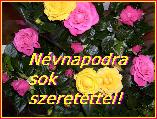 Névnapi képeslap