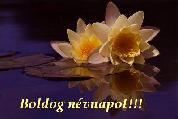 Névnapi képeslap