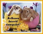 Húsvéti képeslap