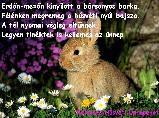 Húsvéti képeslap