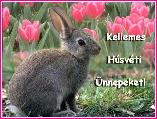 Húsvéti képeslap