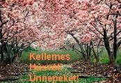 Húsvéti képeslap