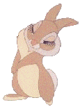 Képeslap