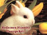 Húsvéti képeslap