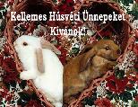 Húsvéti képeslap