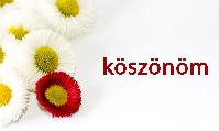 Anyák napi képeslap