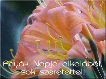 Anyák napi képeslap
