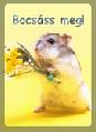 Baráti képeslap
