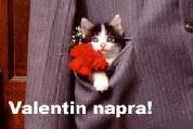 Valentin napi képeslap