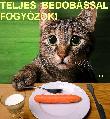Fogyókúrás képeslap